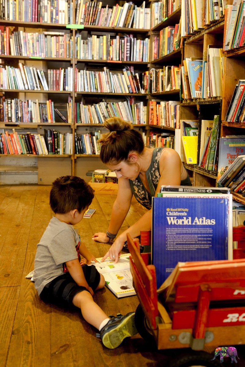 Bruised-Apple-Books-Peekskill-2