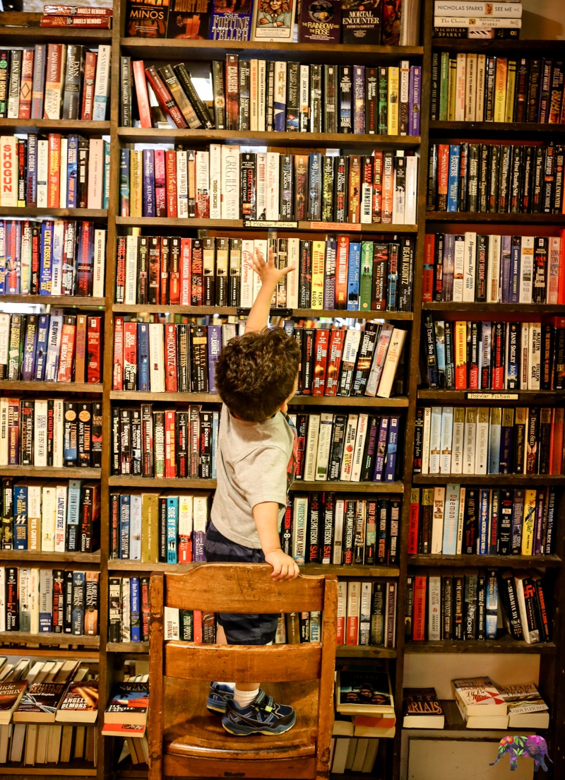 Bruised-Apple-Books-Peekskill-4