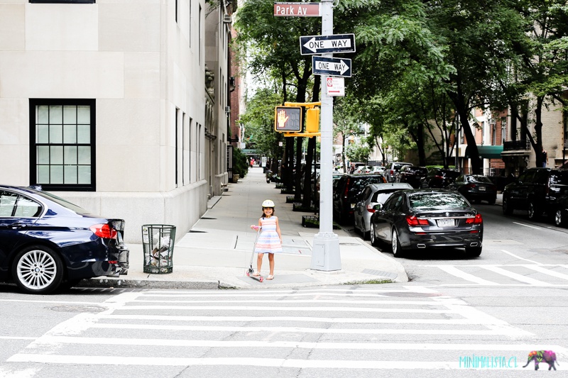 Monopatin-NYC-Summer-Stage-Ninos-4