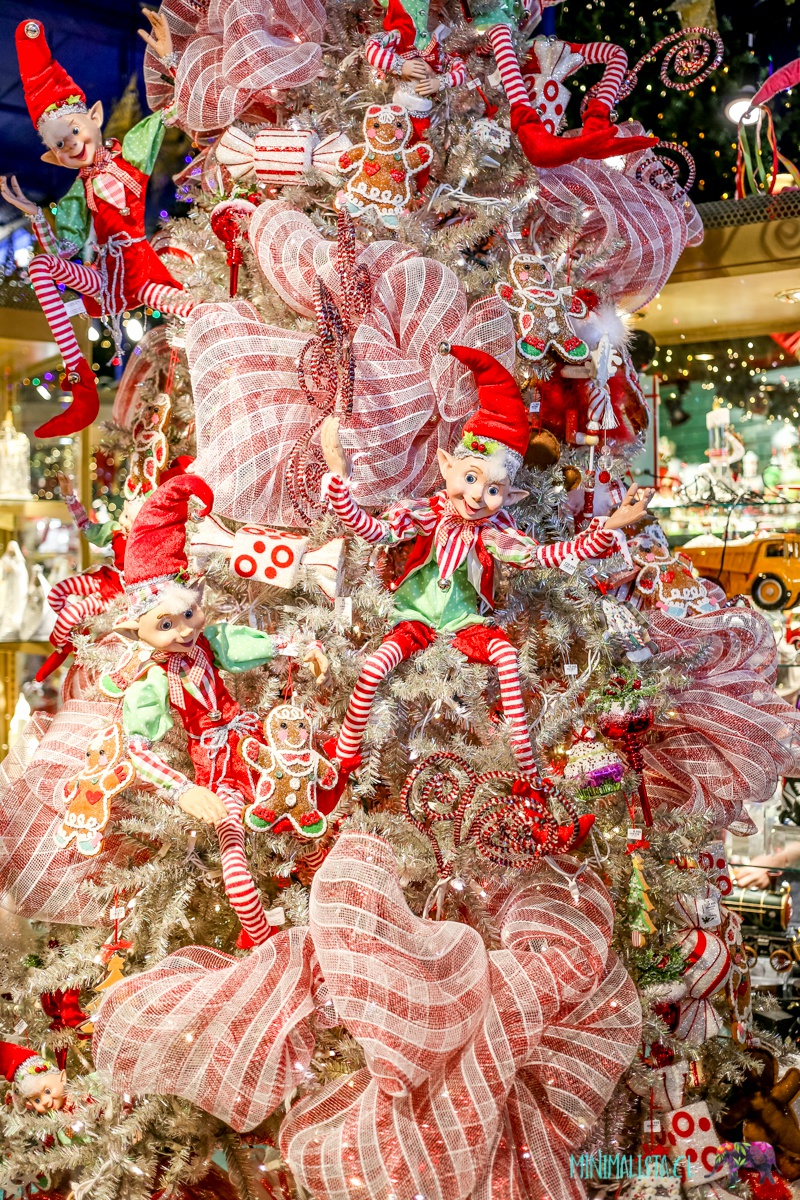 Tour-Gratis-Quebec-9