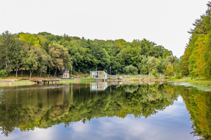 huerto-organico-en-otono