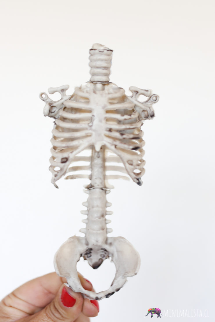 actividades-dia-de-los-muertos