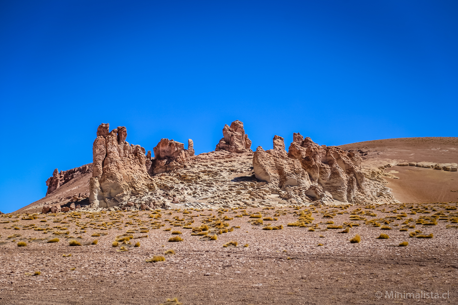 Fotos de Salar del Tara