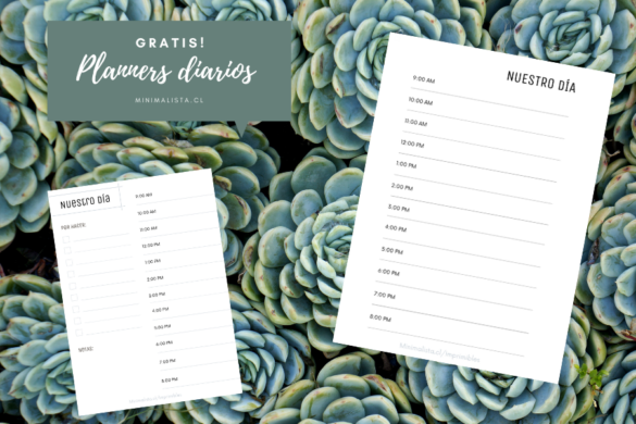 planners diarios imprimir